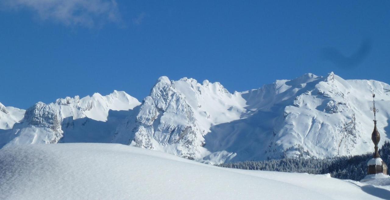 "Chalet Les Aravis" Chalet Et Appartements Le Grand-Bornand Exterior foto